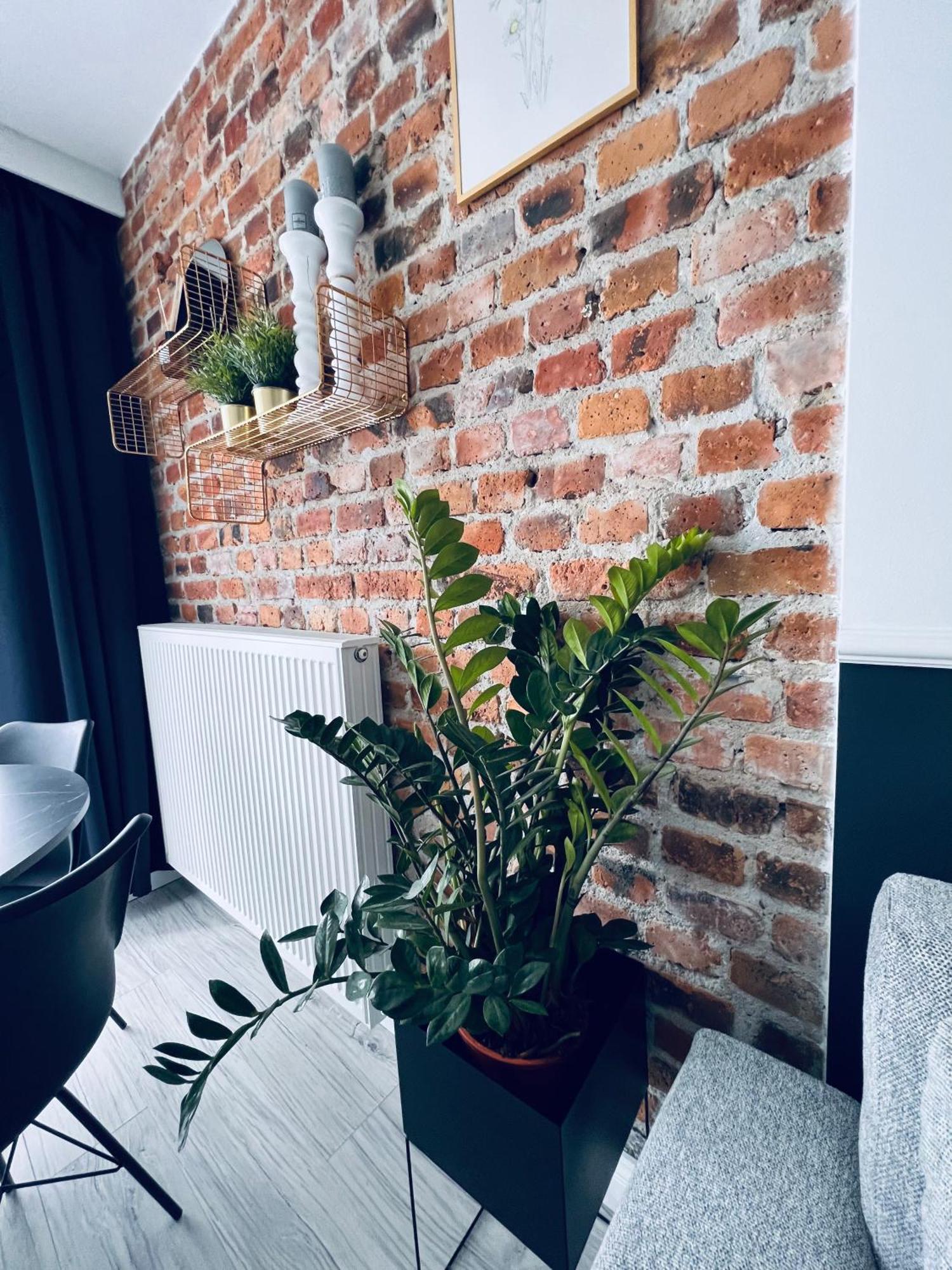 Apartamenty Zary Dış mekan fotoğraf